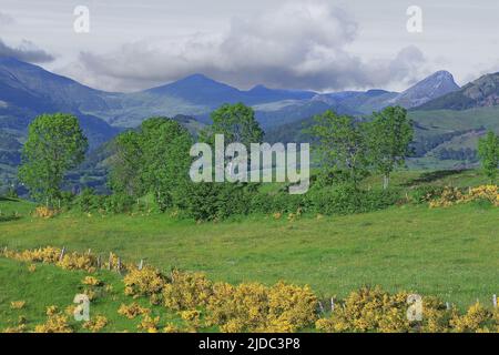 Frankreich, Cantal Mandailles-Saint-Julien, Landschaften der Cantal-Berge im Frühling Stockfoto