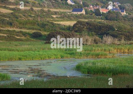 Frankreich, Manche Vauville, der Teich, nationales Naturschutzgebiet Stockfoto