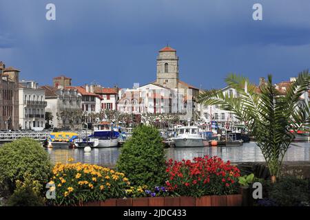 Frankreich, Pyrenäen-Atlantiques St. Jean de Luz, berühmter Badeort der baskischen Küste, zum alten Hafen, Blumen im Vordergrund Stockfoto