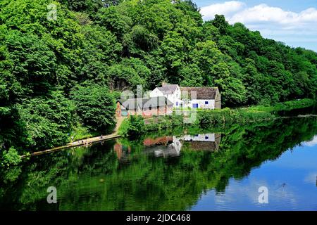Das Bootshaus der Universität Durham School Boat Club und Studenten, die im Fluss baden, tragen sich im Sommer unter grünen Bäumen und blauem Himmel Stockfoto