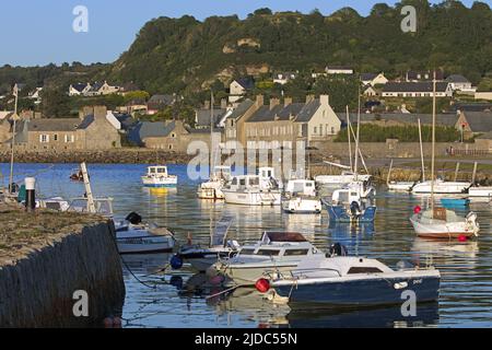 Frankreich, Manche (50) Digosville der Hafen Stockfoto