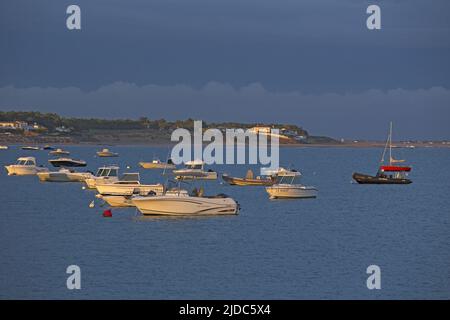 frankreich, Vendée, La Tranche-sur-Mer, der Strand, der Pier Stockfoto