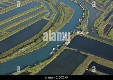 France, Vendée, Beauvoir-sur-Mer Harbour Oyster étier Sallertaine (Luftaufnahme) Stockfoto