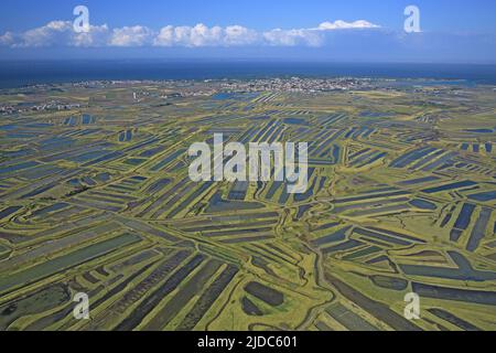 Frankreich, Vendée Noirmoutier en l'Ile, Salzwiesen (Luftaufnahme) Stockfoto