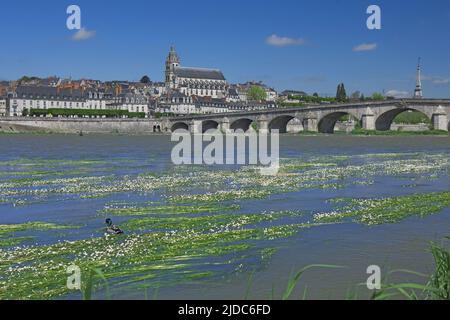 Frankreich, Indre-et-Loire Blois, die Stadt am Ufer der Loire Stockfoto