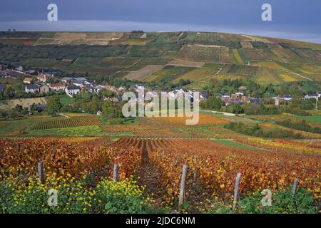 Frankreich, Cher Chavignol, das Dorf vom Weinberg aus gesehen Stockfoto