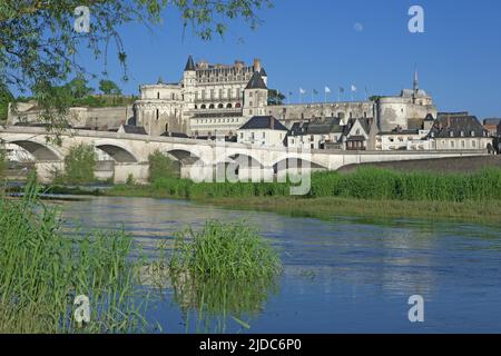 Frankreich, Indre-et-Loire Amboise, das Schloss und die Stadt vom Ufer der Loire Stockfoto