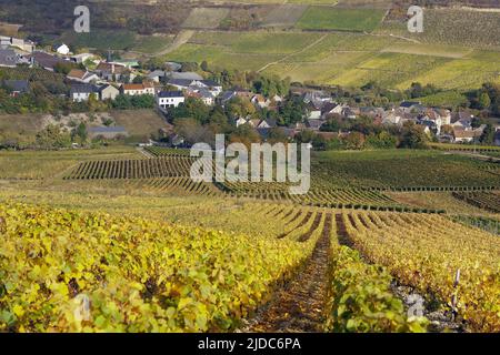 Frankreich, Cher Chavignol, das Dorf vom Weinberg aus gesehen Stockfoto