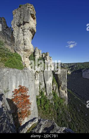 Frankreich, Aveyron Le Rosier, Landschaft der Jonte-Schluchten, Klippen und ruiniforme Felsen, le Vase de Sèvre Stockfoto