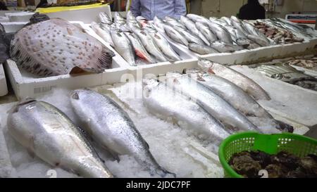 Markt für frische Meeresfrüchte in Batumi Georgia. Lebender Fisch im Eis. Flunder, rote Meeräsche, Lachs, Wels, Aal, Frösche, Rochen, Stör, Muscheln, Austern Stockfoto