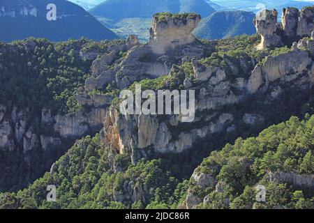 Frankreich, Aveyron Le Rosier, Landschaft der Jonte-Schluchten, Klippen und ruiniforme Felsen Stockfoto