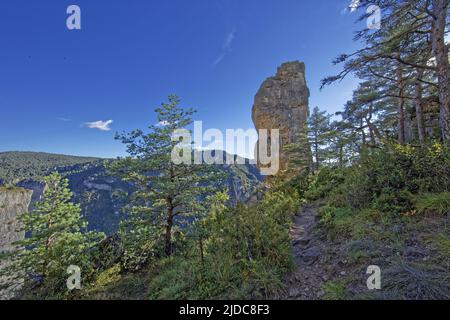 Frankreich, Aveyron Le Rosier, Landschaft der Jonte-Schluchten, Klippen und ruiniforme Felsen, le Vase de Sèvre Stockfoto