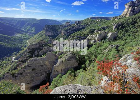 Frankreich, Aveyron Le Rozier, Landschaft der Jonte-Schluchten, Klippen und ruiniforme Felsen Stockfoto