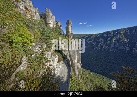 Frankreich, Aveyron Le Rosier, Landschaft der Jonte-Schluchten, Klippen und ruiniforme Felsen, le Vase de Sèvre Stockfoto