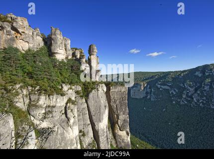 Frankreich, Aveyron Le Rosier, Landschaft der Jonte-Schluchten, Klippen und ruiniforme Felsen, le Vase de Sèvre Stockfoto