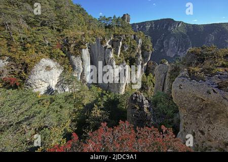 Frankreich, Aveyron Le Rosier, Landschaft der Jonte-Schluchten, Klippen und ruiniforme Felsen Stockfoto