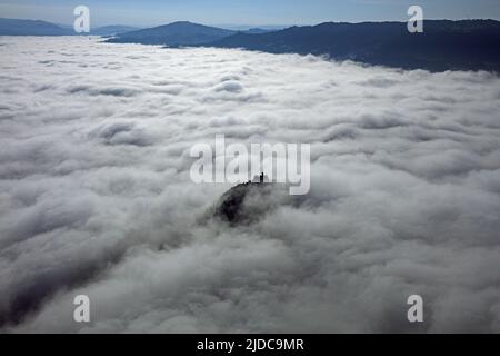 Frankreich, Aveyron, Espalion das Schloss Calmont Olt im Morgennebel (Luftaufnahme) Stockfoto