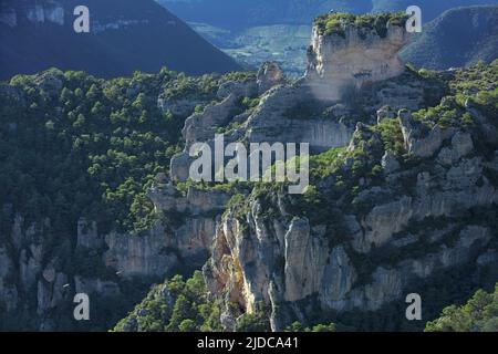 Frankreich, Aveyron Le Rosier, Landschaft der Jonte-Schluchten, Klippen und ruiniforme Felsen Stockfoto