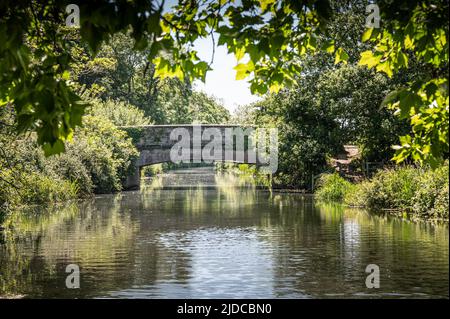 Blick auf eine Brücke über den Fluss Itchen in Ovington, Hampshire, Großbritannien an einem hellen, sonnigen Tag. Stockfoto