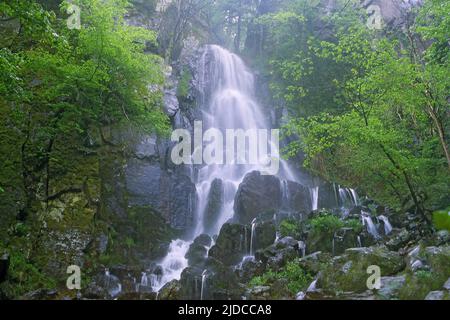 Frankreich, Bas-Rhin (67), Oberhaslach, der Wasserfall Nideck Stockfoto