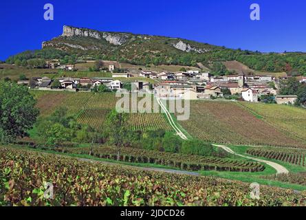 Frankreich, Saône-et-Loire Solutré, das Dorf und der Felsen von Solutré vom Weinberg aus gesehen Stockfoto