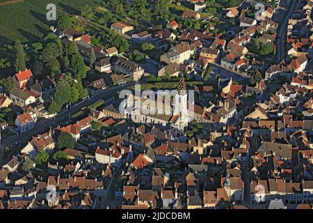 Frankreich, Côte-d'Or, Nuits-Saint-Georges, Burgund-Weindorf Nuits-Saint-Georges (AOC) (Luftaufnahme), Stockfoto