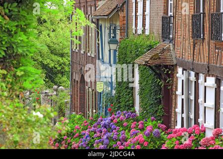 Frankreich, Oise (60) Gerberoy, Labellized Village, 'Village fleuri' (blühtes Dorf) Stockfoto