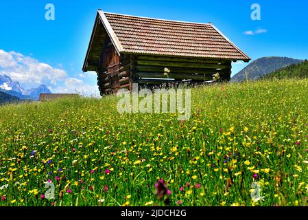 Heuscheune auf einer Almwiese im Sommer bei Garmisch, Bayern, Deutschland, Europa Stockfoto