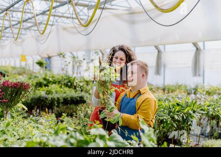 Erfahrene Frau Floristin hilft jungen Angestellten mit Down-Syndrom im Gartencenter. Stockfoto
