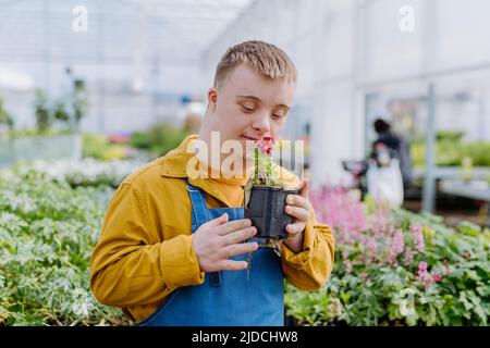 Glücklicher junger Mitarbeiter mit Down-Syndrom, der im Gartencenter arbeitet und sich um Blumen kümmert. Stockfoto