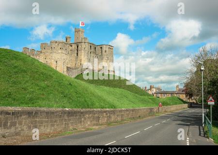 Warkworth Castle, Blick im Sommer auf die teilweise ruinierte mittelalterliche Burg auf einem Hügel im Zentrum von Warkworth Village, Northumberland, Großbritannien Stockfoto