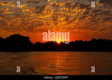 Wunderschöner Sonnenuntergang im nördlichen Pantanal, den größten Feuchtgebieten der Welt. Wildes brasilien, brasilianische Tierwelt und Natur, atemberaubende Landschaft, Flussufer. Stockfoto