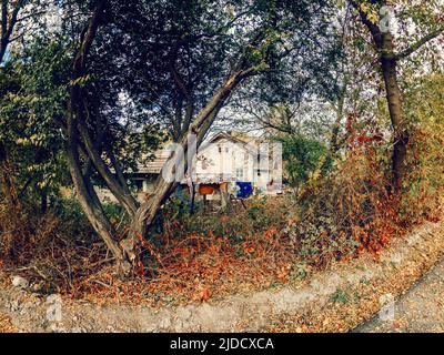 Altes, überholtes Zigeunerhaus in den Dickichten von Büschen und Bäumen Stockfoto
