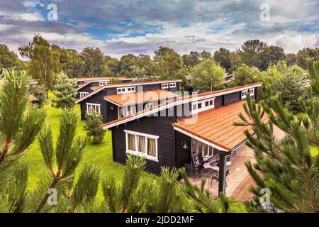 Ferienbungalow Park mit identischen Hütten in symmetrischer Reihenfolge in grüner Waldgegend. Holzchalets mit orangefarbenen Dachziegeln in Gras und Büschen. N Stockfoto