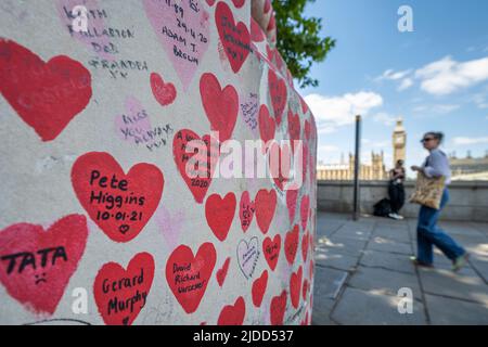 London, Großbritannien. 20. Juni 2022. Eine Frau passiert die National Covid Memorial Wall gegenüber dem Parlamentsgebäude. Aktuelle Daten aus der ZOE Covid-Studien-App zeigen, dass die täglichen symptomatischen Infektionen von 114.030 am 1. Juni auf 188.369 am 17. Juni gestiegen sind. Eine neue Studie von Professor Altmann vom Imperial College London zeigt, dass eine frühere Infektion wenig Schutz vor zukünftigen Infektionen bietet, was den über den Erwartungen liegenden Anstieg der Fälle in den letzten drei Wochen erklärt, der durch die Omicron-Subvarianten BA.4 und BA.5 verursacht wurde. Kredit: Stephen Chung / Alamy Live Nachrichten Stockfoto