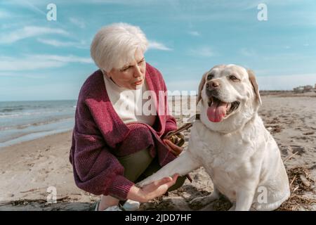 Konzentrierte ältere Dame, die ihren Hund am Meer trainiert Stockfoto