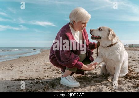 Ältere Frau übt mit ihrem Haustier einen neuen Befehl aus Stockfoto