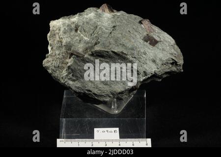 Pyrit. Mineralien. Nordamerika; USA; Rhode Island Stockfoto