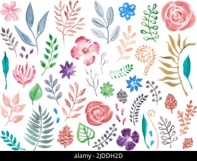 Aquarell Blumen und Laub handbemalt. Vektordarstellung auf weißem Hintergrund isoliert Stock Vektor