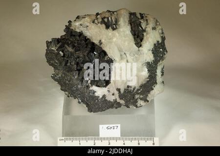 Manganit. Mineralien. Europa; Deutschland; Harz, Ilefeld Stockfoto