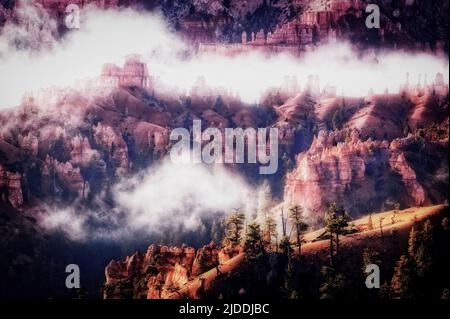 Niedrige Wolken schweben über den Hoodoos des Bryce Canyon National Park, Utah. Stockfoto