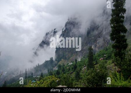 Berge und Wald mit Nebel bedeckt Stockfoto