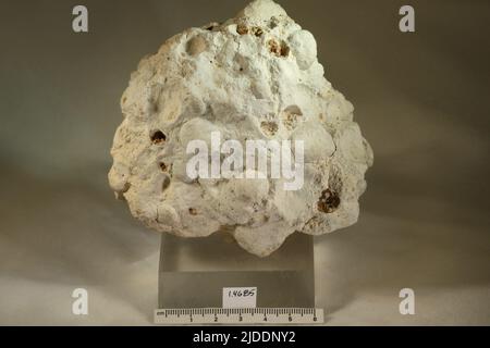 Bauxit. Mineralien. Nordamerika; USA; Georgia; Sumter County; Andersonville Stockfoto