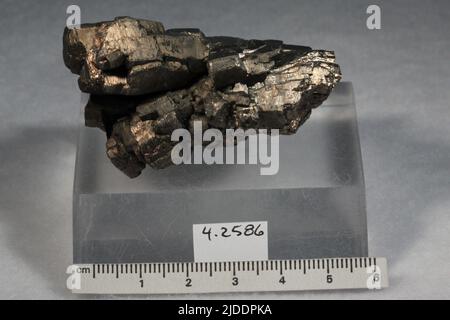 Pyrrhotit. Mineralien. Nordamerika; Mexiko; Chihuahua; Santa Eulalia Stockfoto