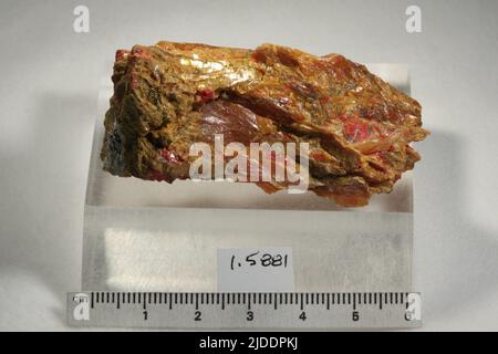 Orpiment. Mineralien. Nordamerika; USA; Nevada; Humboldt County; Golconda; Getchell Mine Stockfoto