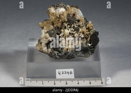 Pyrrhotit. Mineralien. Nordamerika; Mexiko; Chihuahua; Santa Eulalia, Mine San Antonio Stockfoto