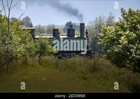 Train de la baie de Somme, Lokomotive à vapeur Stockfoto