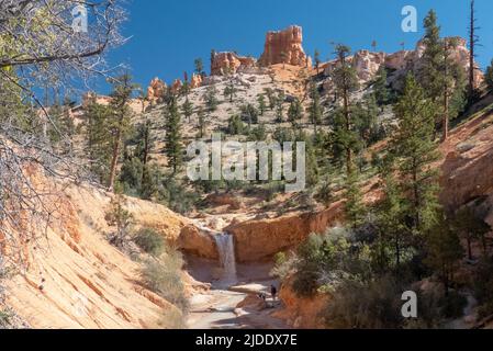 Mossy Cave Trail, Utah, USA: Tropic Ditch Falls Stockfoto