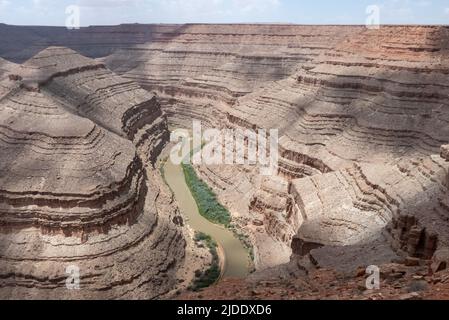 Utah, USA: Schwanenhälse am San Juan River Stockfoto