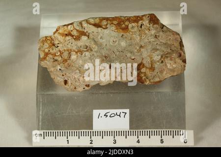 Bauxit. Mineralien. Nordamerika; USA; Alabama Stockfoto